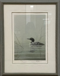 Timeless Common Loon