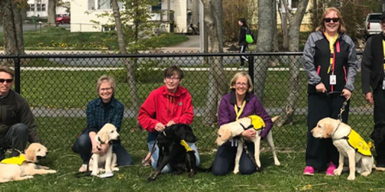 A small group of guide dog handlers and their guide dogs