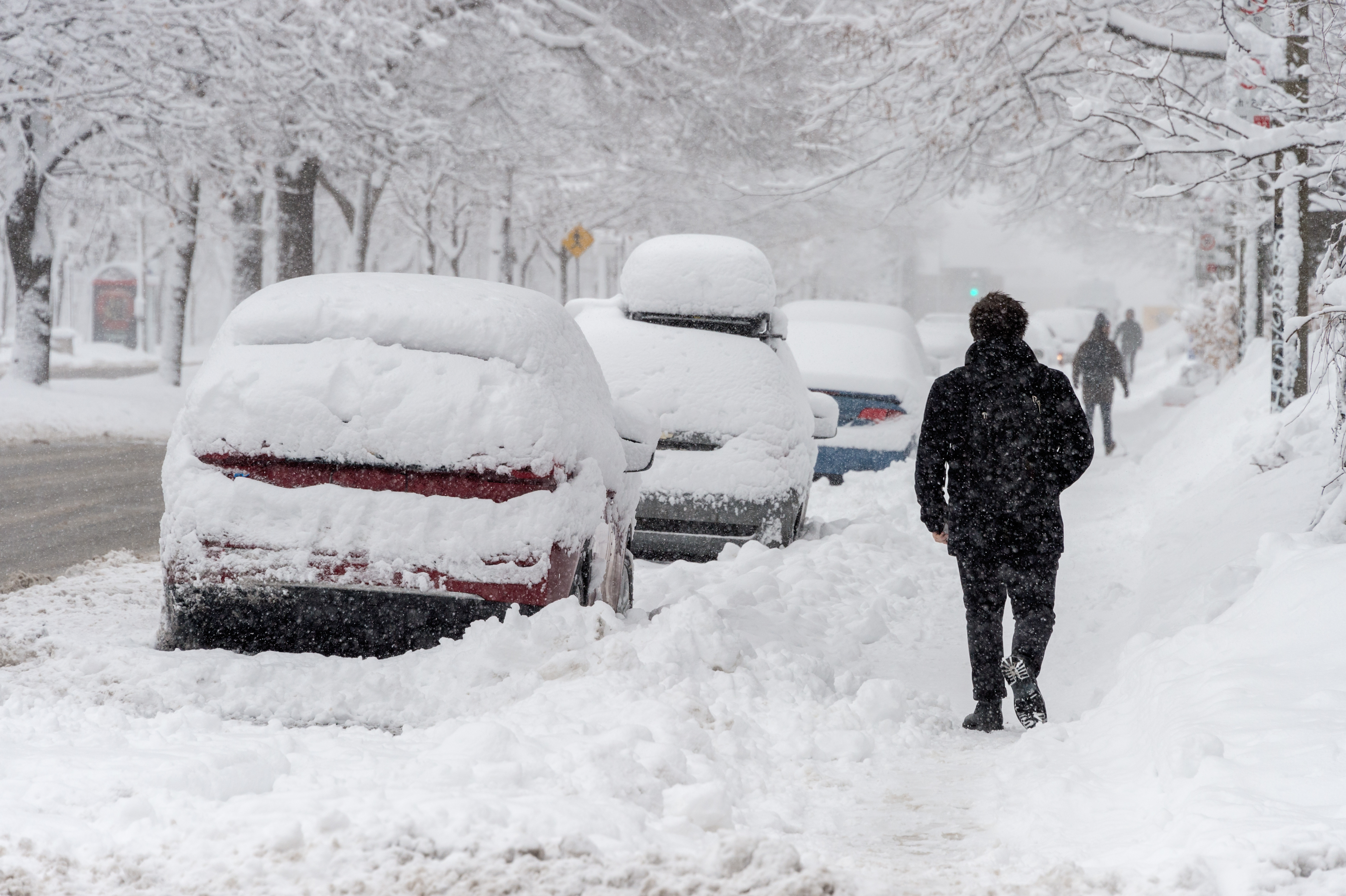 Une rue résidentielle, des trottoirs et des voitures garées sont recouverts de neige. Un homme marche sur un trottoir enneigé. 