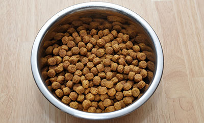 Dog food bowl