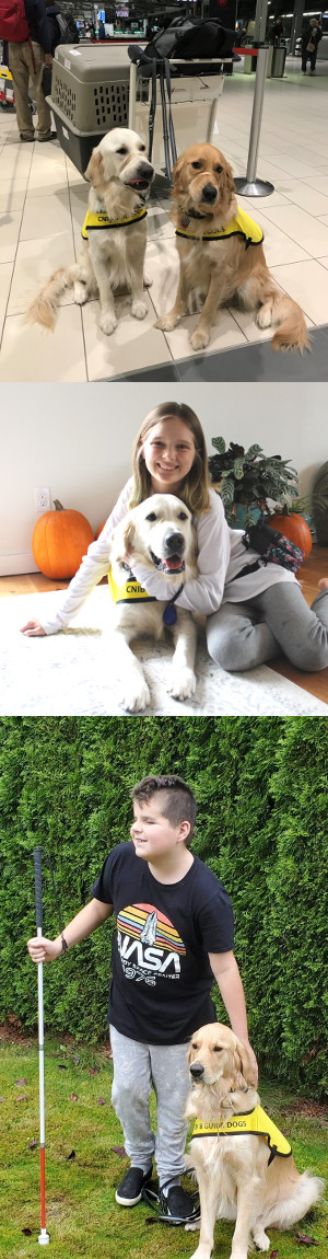 A collage of three images. Image 1: Ruggles and George at the airport waiting in the terminal. Image 2: Dani poses with and  Buddy Dog, George. Landon poses with Buddy Dog, Ruggles