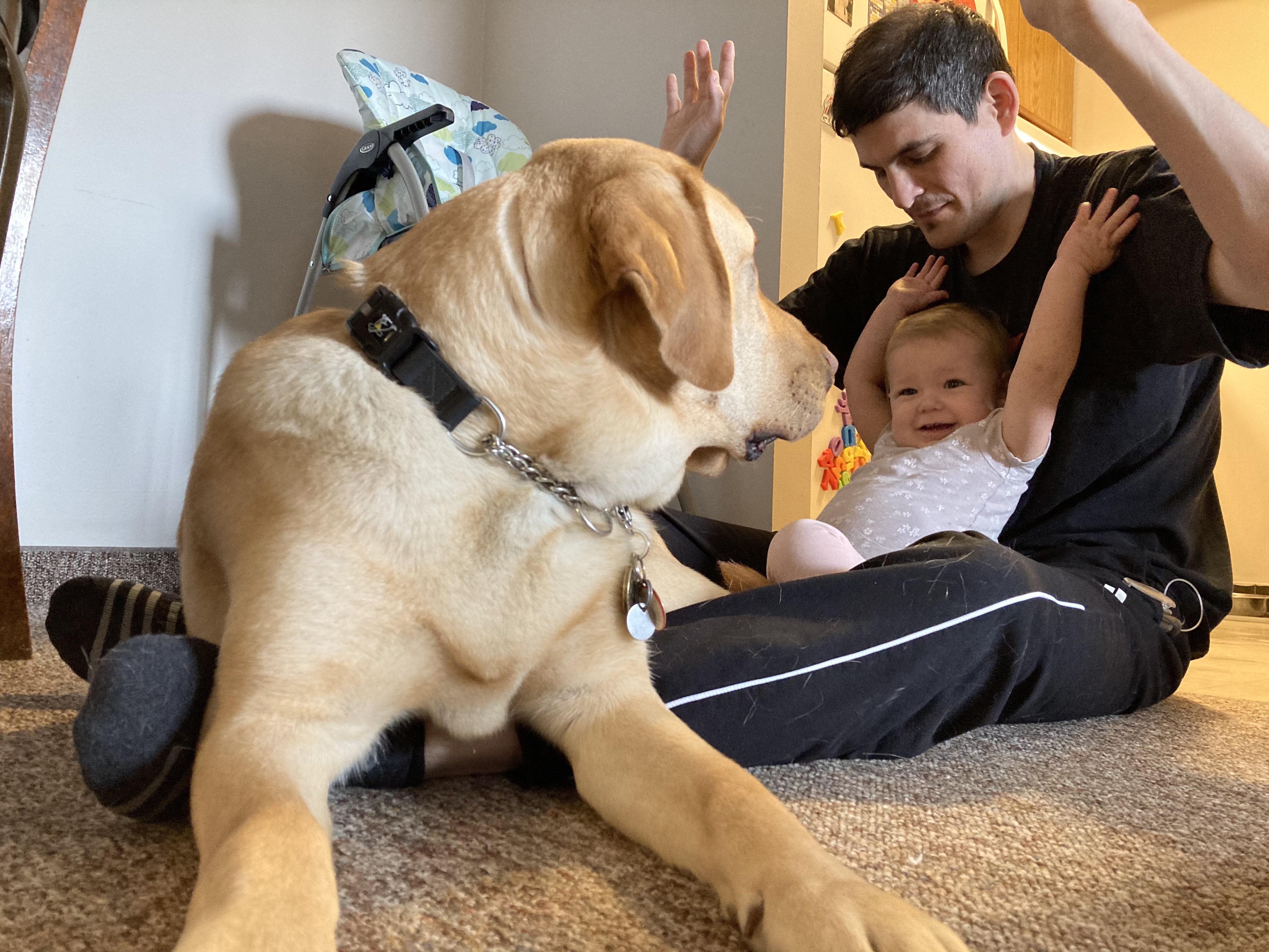Ryan and his daughter Abigail, sitting on the floor playing with Joe, a CNIB Guide Dog.