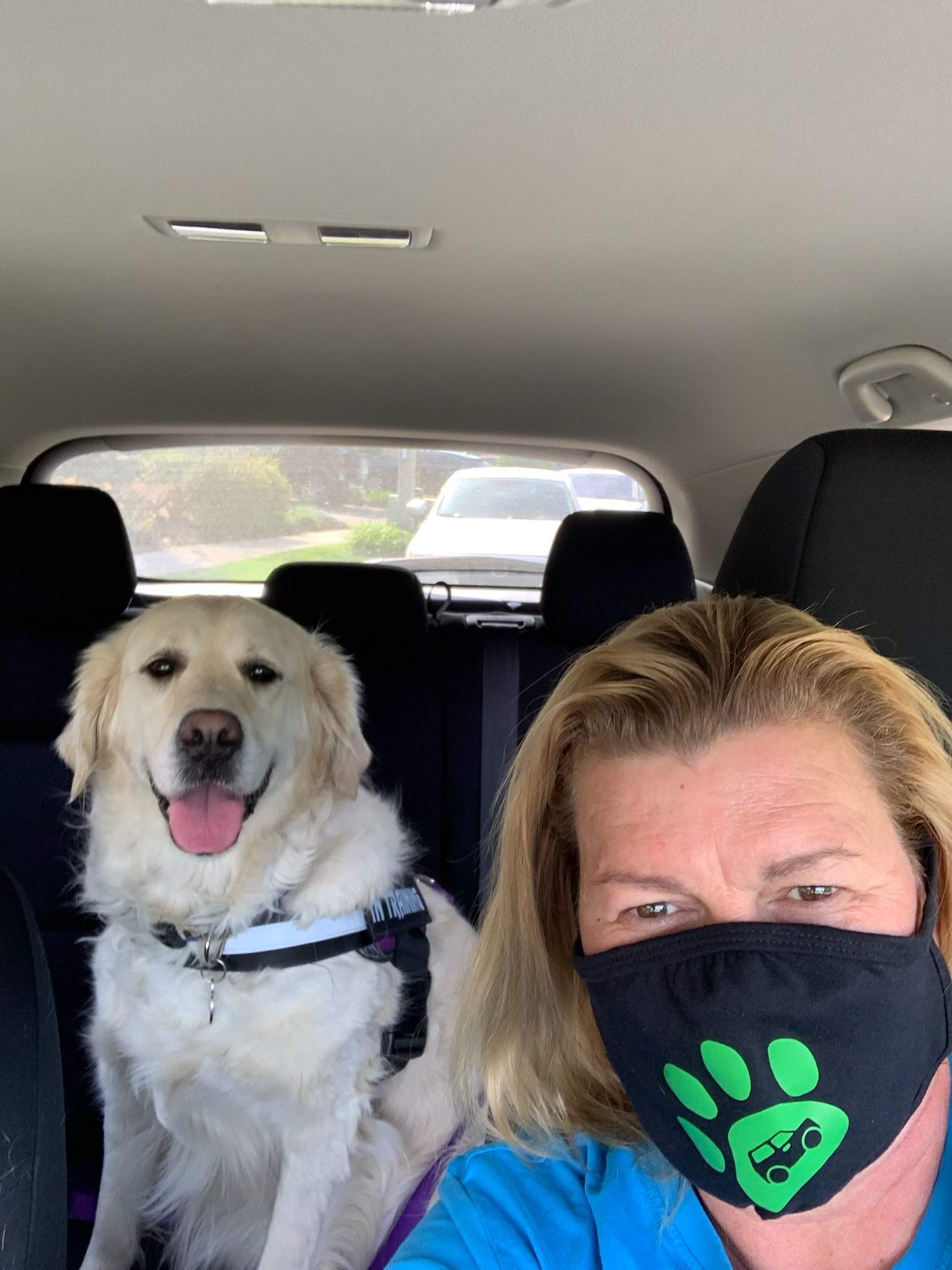 A golden retriever sits in the back seat of a car. In the front, a person takes a selfie while wearing a face covering that has a paw print logo on it