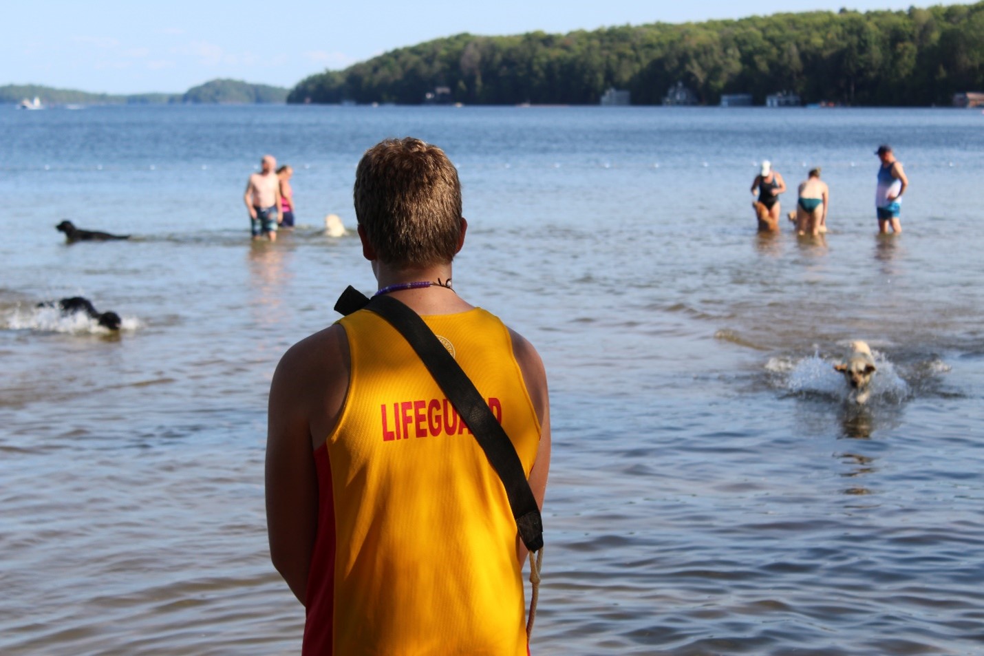 Male lifeguard facing the water where people with guide dogs are playing. He is wearing a yellow shirt with the word "Lifeguard" in red.