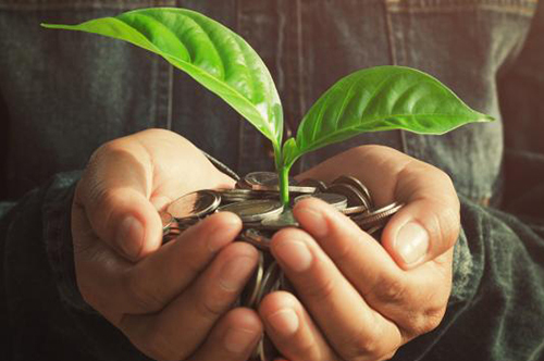 Hands holding a pile of coins with a green plant growing from within them 