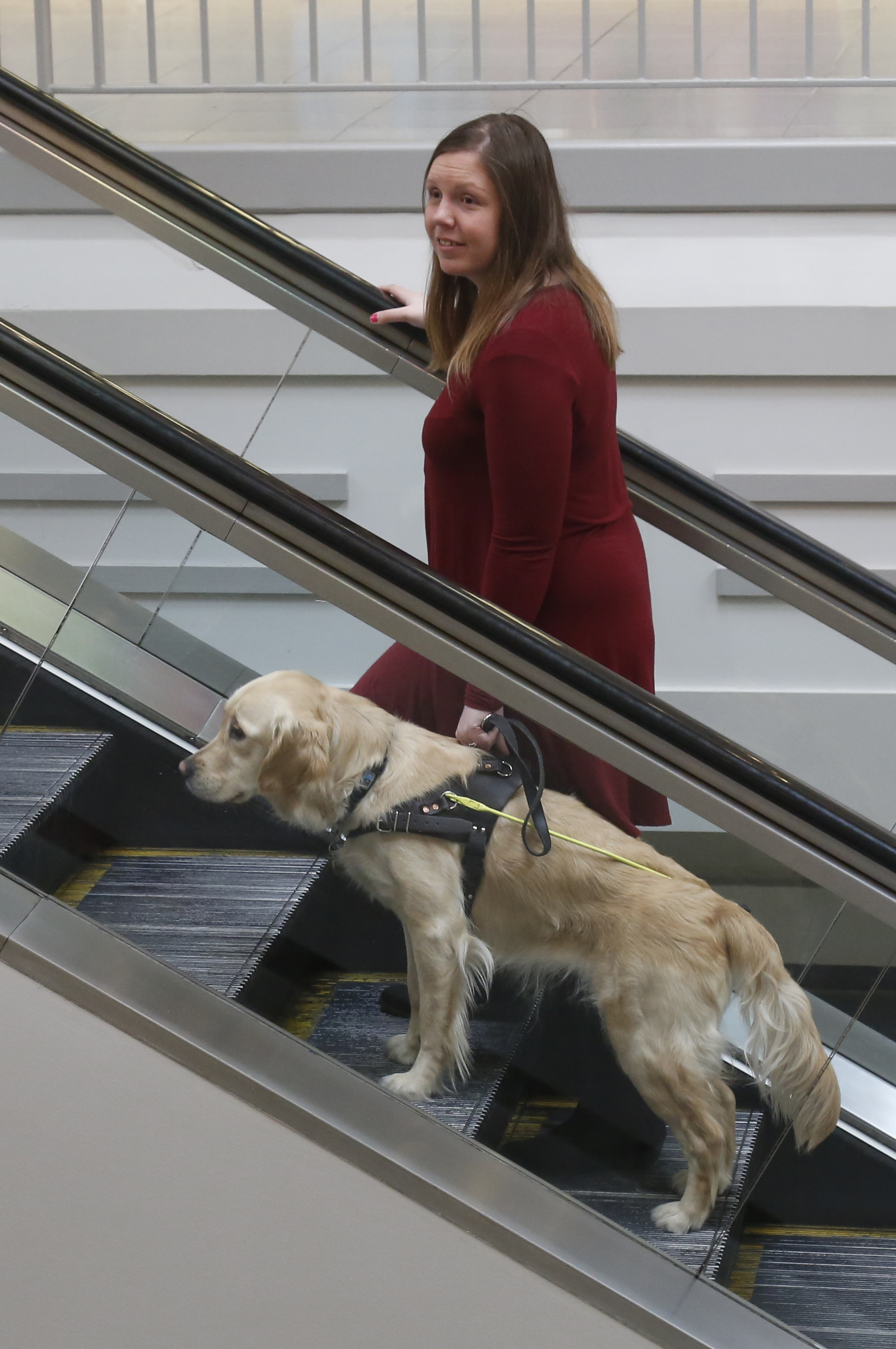 A woman and her guide dog going up a mall escalator; the guide dog is a golden retriever