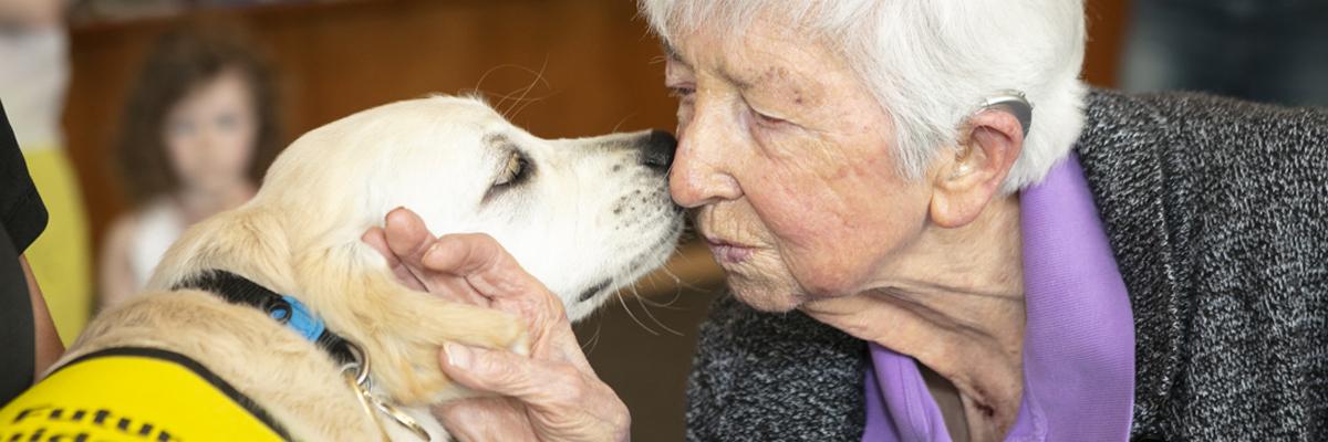 A woman getting a kiss from a yellow Golden Retriever puppy.