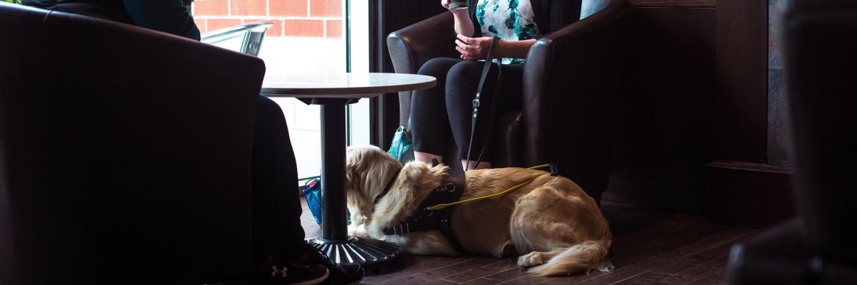 Two people sitting in a café, talking and laughing. A guide dog is laying under the table at their feet.