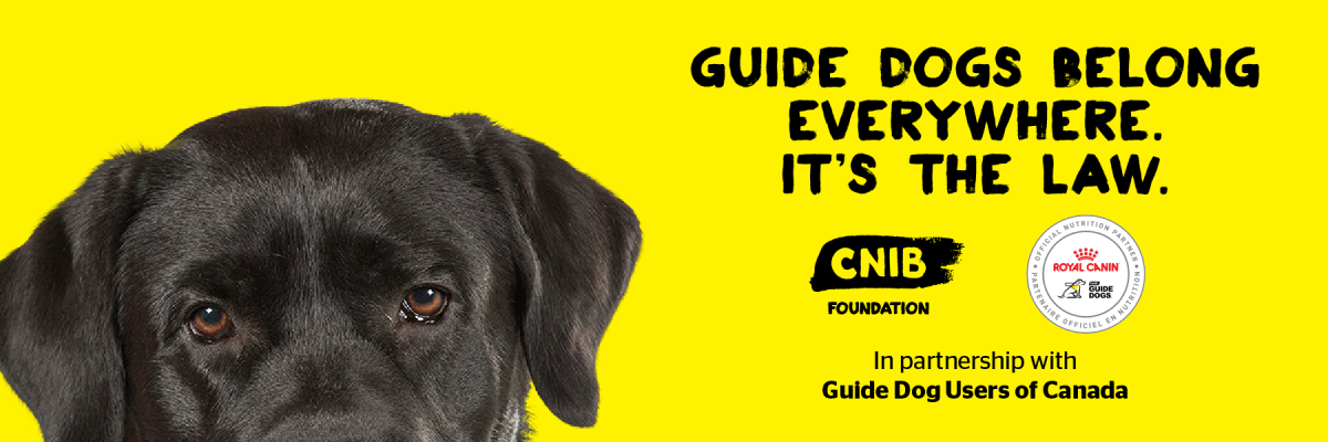 The top half of a Black Labrador's head and the words "Guide dogs belong everywhere. It's the law" and CNIB Foundation logo, In partnership with Guide Dog Users of Canada