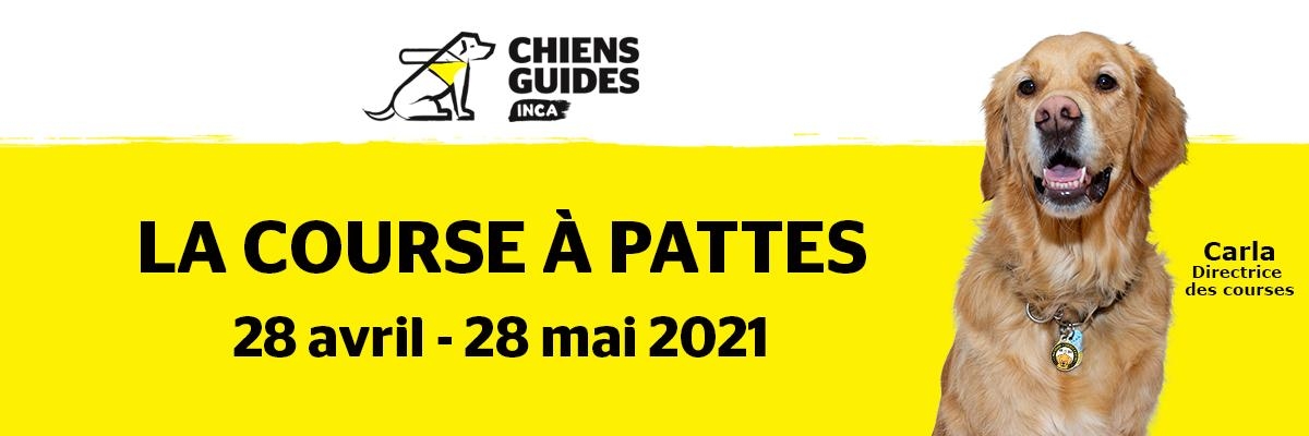 Le logo des Chiens-guides d’INCA. Sous le logo, on peut lire « La course à pattes, 28 avril-28 mai 2021 » sur fond jaune. À droite se trouve une photo de Carla, chien-guide de race golden retriever. Elle est flanquée du texte « Carla, directrice de course ».