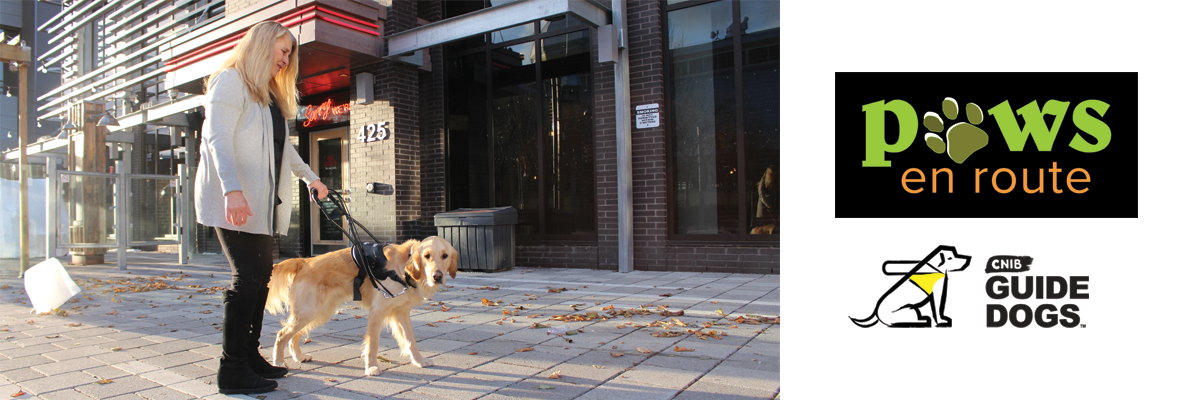 A handler and CNIB Guide Dog walk along a city street together. The Paws en Route logo and CNIB Guide Dogs logo appear on the right-hand side.