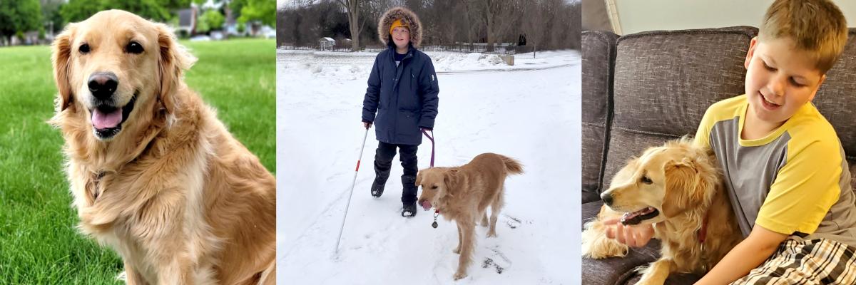 A collage of three photographs. Left: Queenie, a golden retriever. Center: Mason wearing a blue parka standing out in the snow, holding Queenie’s leash with his left hand, and his white cane in his right hand. Right. Mason sitting on the sofa cuddling Queenie, a golden retriever.