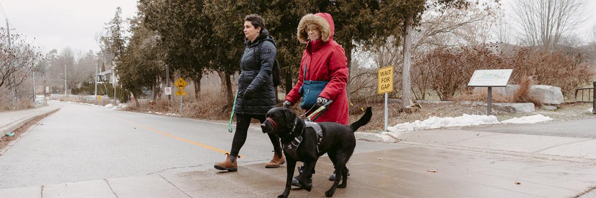 Cheri is guided across the street by her CNIB guide dog, Sassy, a black Labrador Retriever, who walks on her left side. Cheri is wearing a red coat with a furry hood. Cheri’s female intervenor, who is wearing a black coat, walks beside Cheri on her right.