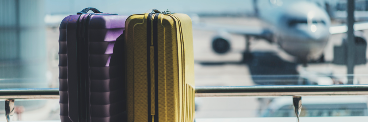 Deux valises sont posées côte à côte devant la fenêtre d'une salle d'embarquement d'un aéroport. À l'extérieur de la fenêtre, un avion est posé sur le tarmac à la porte d'embarquement. L'avion est flou et mal cadré.  