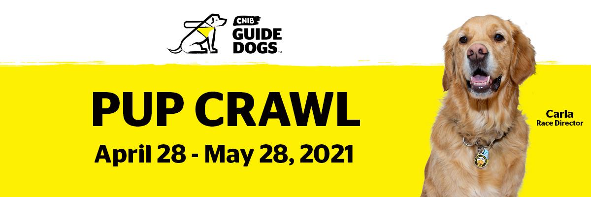 The CNIB Guide Dogs logo. Below it, reads “Pup Crawl, April 28 – May 28, 2021” against a yellow background. On the right, there is a photo of the golden retriever guide dog, Carla. Beside her is the text “Carla, Race Director.”