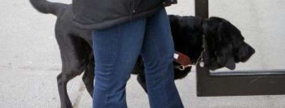 A black guide dog and its handler enter a building.
