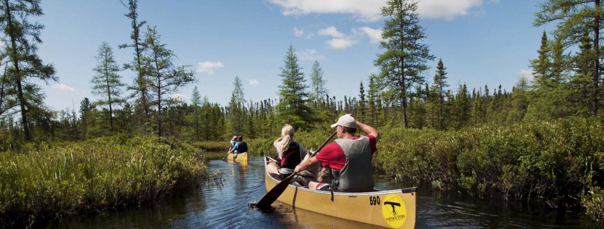 People paddling in two canoes through a small river with a bright blue sky and evergreens.
