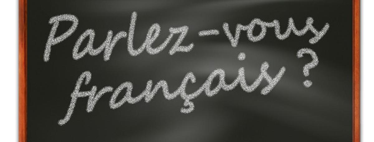 An illustration of a chalkboard. White chalk written on the board: Parlez-vous francais?