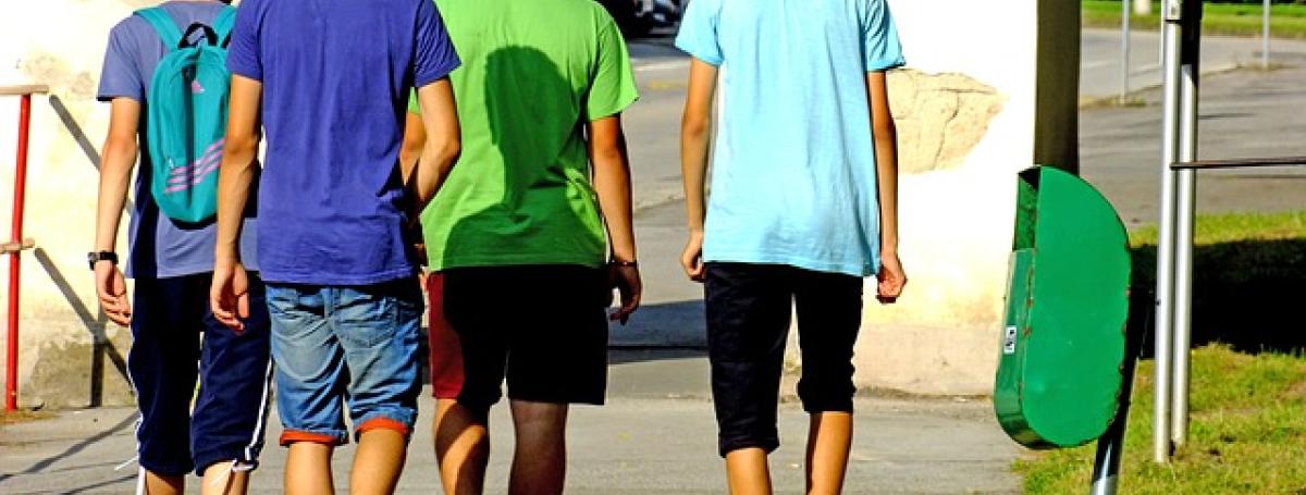 The backs of a group of 4 teenage boys as they walk off to school.