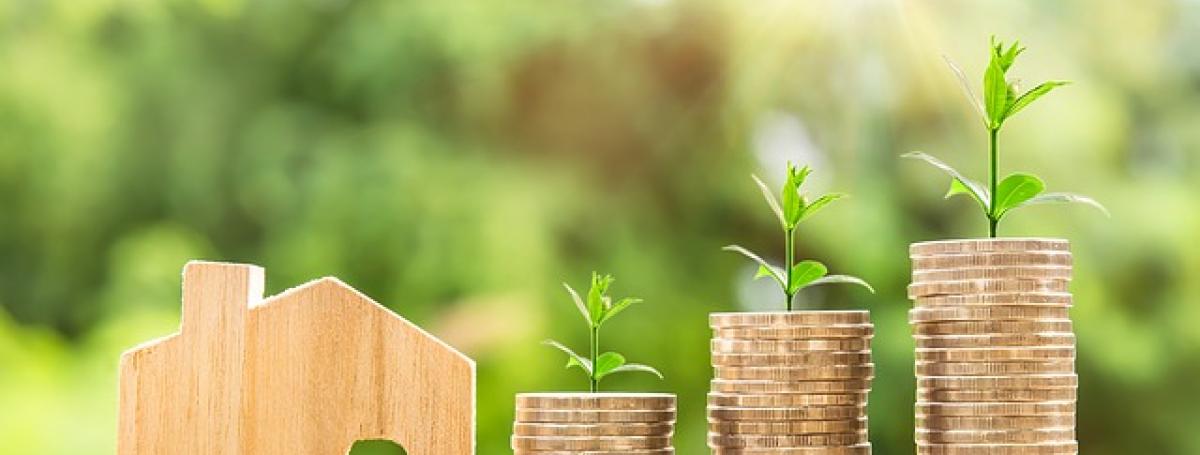 Three stacks of loonies sit on top of a table. Plants are growing out of the loonies. To the left of the loonie stacks, a small wooden house sits on the table.