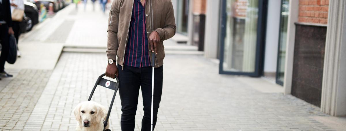 A young man walks down a city sidewalk alongside his guide dog in harness.
