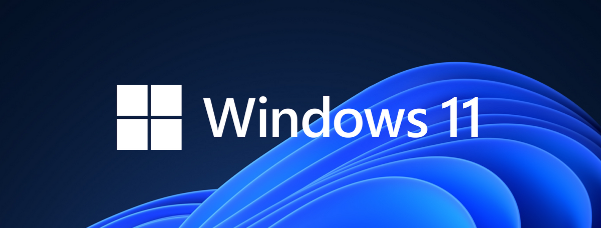 Logo Windows 11 sur un fond bleu