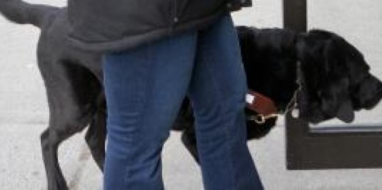 A black guide dog and its handler enter a building.