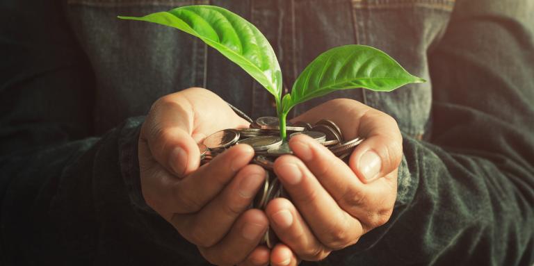 Hand holding coins and a growing plant