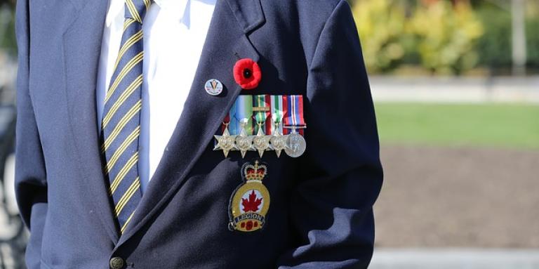 Military personnel. A navy jacket with military pins, badges and a poppy on the lapel.