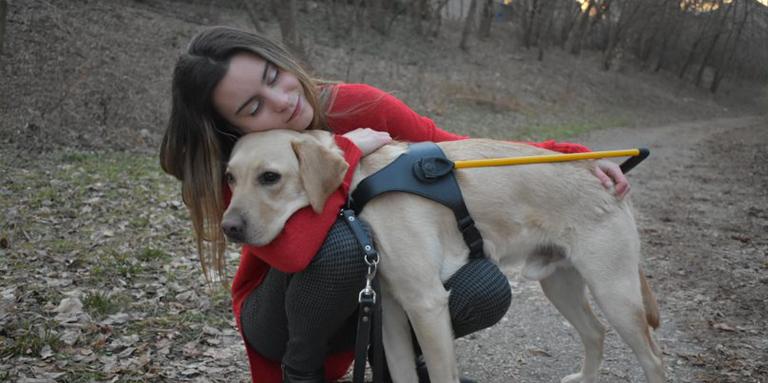 Danika étreignant un labrador croisé golden retriever avec un harnais jaune.