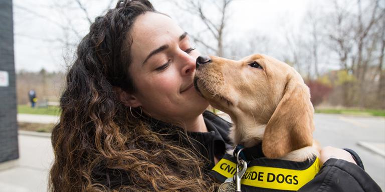 Une femme tenant dans ses bras un Labrador jaune, qui porte un gilet jaune. 