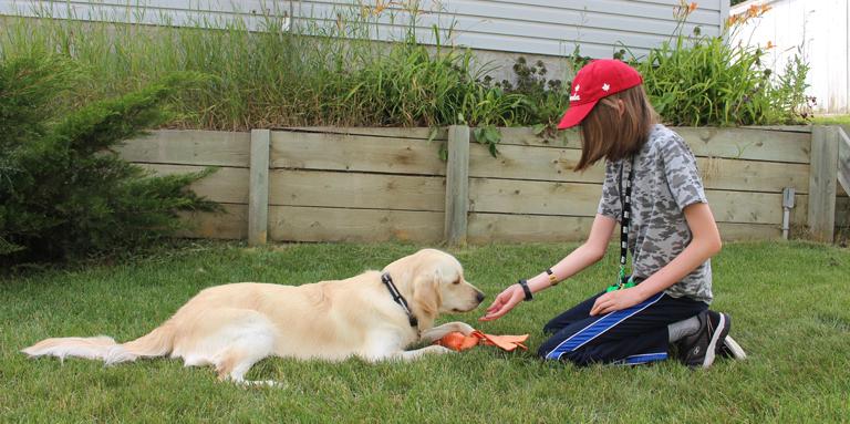 Un jeune garçon agenouillé dans l’herbe qui tend la main à son Golden Retriever.