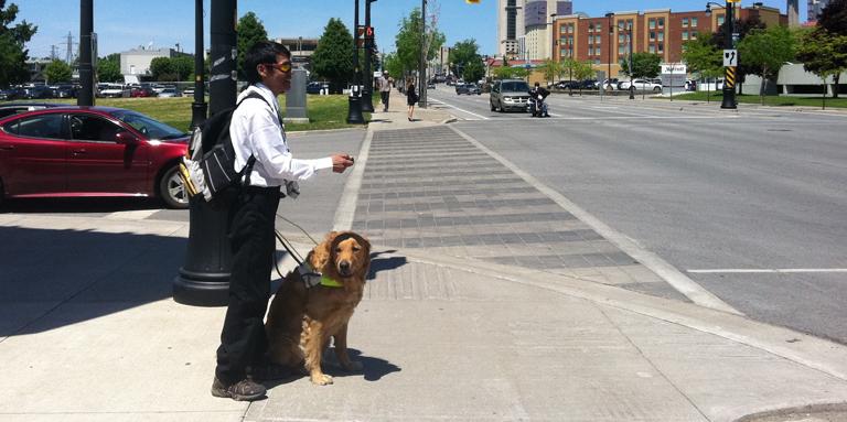 A man stands at an intersection with his guide dog.