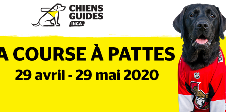 Tournée des chiens-guides d'INCA du 29 avril au 29 mai 2020 avec une image de Rookie, le chiot des Sens