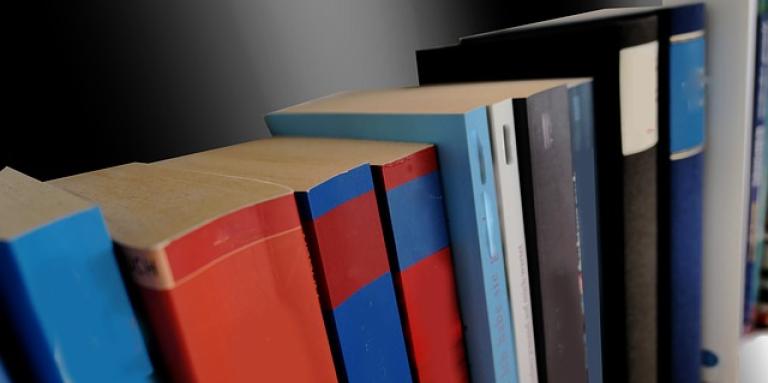 Une pile de manuels alignés sur une étagère.