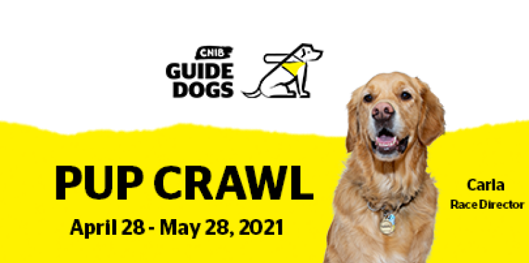 The CNIB Guide Dogs logo. Below it, reads “Pup Crawl, April 28 – May 28, 2021” against a yellow background. On the right, there is a photo of the golden retriever guide dog, Carla. Beside her is the text “Carla, Race Director.”