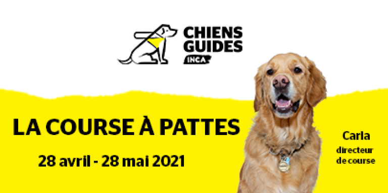 Le logo des Chiens-guides d’INCA. Sous le logo, on peut lire « La course à pattes, 28 avril-28 mai 2021 » sur fond jaune. À droite se trouve une photo de Carla, chien-guide de race golden retriever. Elle est flanquée du texte « Carla, directrice de course ».