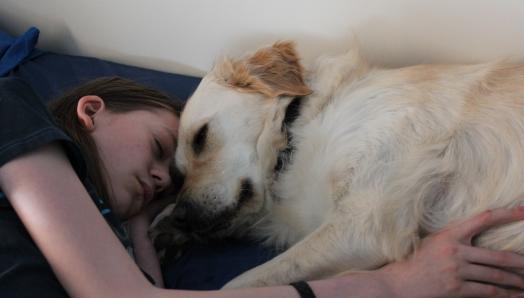 A teenage boy lays with his Buddy Dog, a golden retriever. The boy is embracing the dog and their heads are touching.
