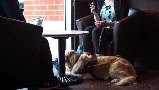 Deux personnes assises dans un café qui parlent et rient. Un chien-guide est couché sous la table à leurs pieds.