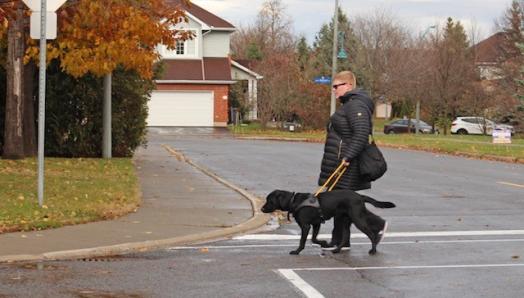 Photo d'Ashley et de son chien-guide Danson empruntant un passage pour piétons par temps nuageux.