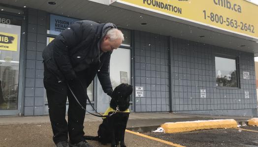 Jack Clarkson and Lulu outside CNIB’s office in Regina on a snowy day; Lulu, a black Labrador-Golden Retriever cross is sitting and wearing a yellow Future Guide Dog vest, while Jack is leaning down to pet her head.