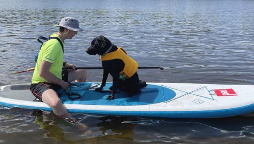 A man sitting on a paddle board in a lake, with a black Labrador retriever sitting, facing him and wearing a bright yellow life vest. 