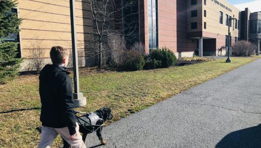 A young man walking along a sidewalk with his guide dog, a black Labrador-retriever cross with brindle paws