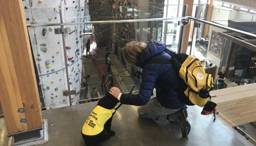 A black Labrador retriever puppy wearing a bright yellow Future Guide Dog vest sitting in front of a glass railing overlooking a rock-climbing facility, with his puppy raiser kneeling beside him and petting his head