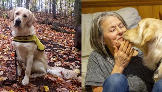 Flanders wearing his Future CNIB Guide Dog vest and sitting amongst autumn leaves; Puppy Raiser Claire sitting on the floor cuddling Flanders