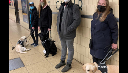 Quatre personnes accompagnées de leurs chiens-guides se tiennent contre un mur à un arrêt du métro souterrain de Toronto.
