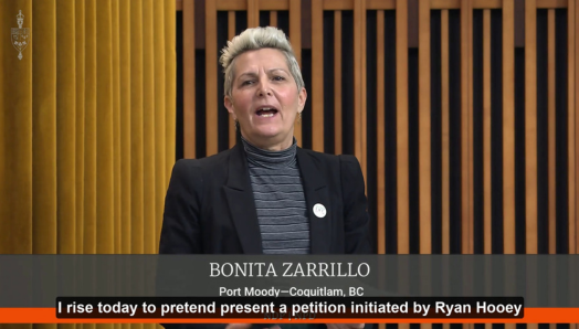 MP Bonita Zarrillo presenting CNIB’s accessible insulin pump petition in the House of Commons.